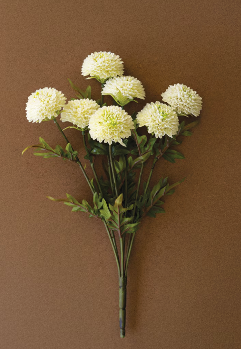 Dahlia Bundle