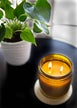 Bluegrass Bourbon - 16oz Candle