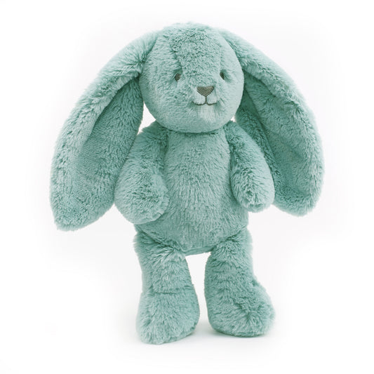 "Banjo" Bunny Soft Toy