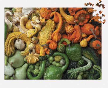 1000 Piece Puzzle - Gourds