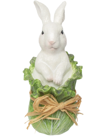 Bunny in Cabbage