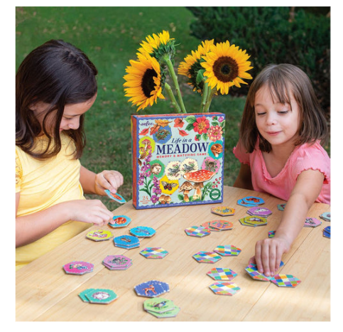 "Life in a Meadow" Matching Game