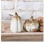 Small Brown Tone Pumpkin/Gourd